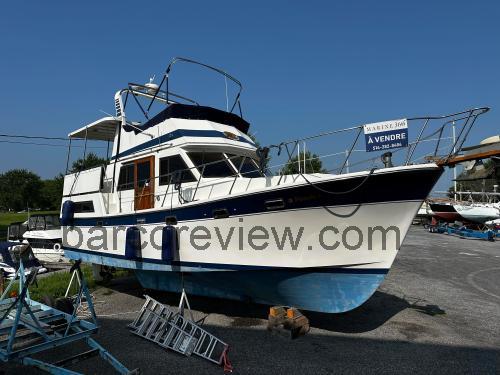 Marine Trader 36 opinión y ficha técnica